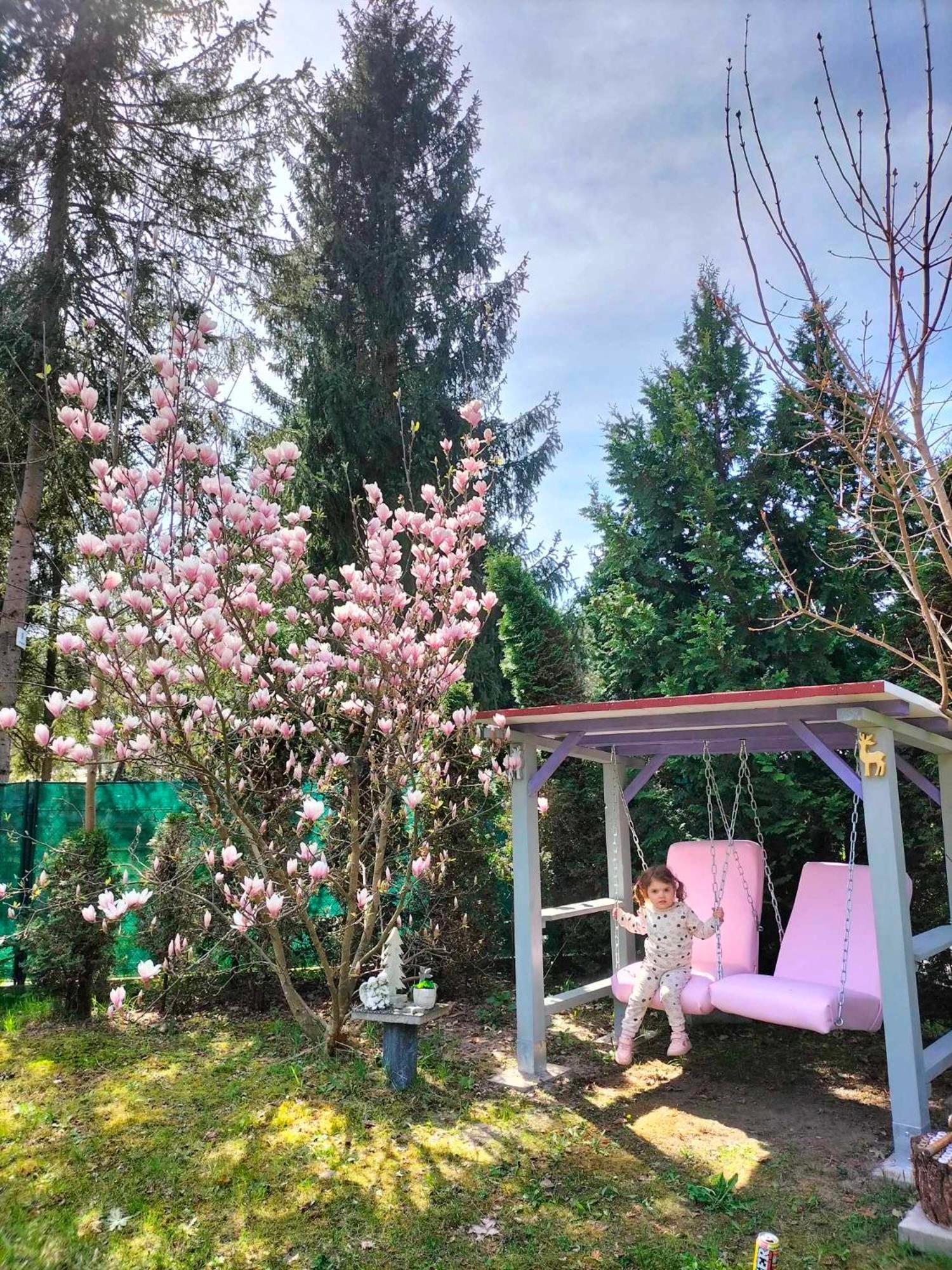 Domki Radawa Na Kliszowce ภายนอก รูปภาพ